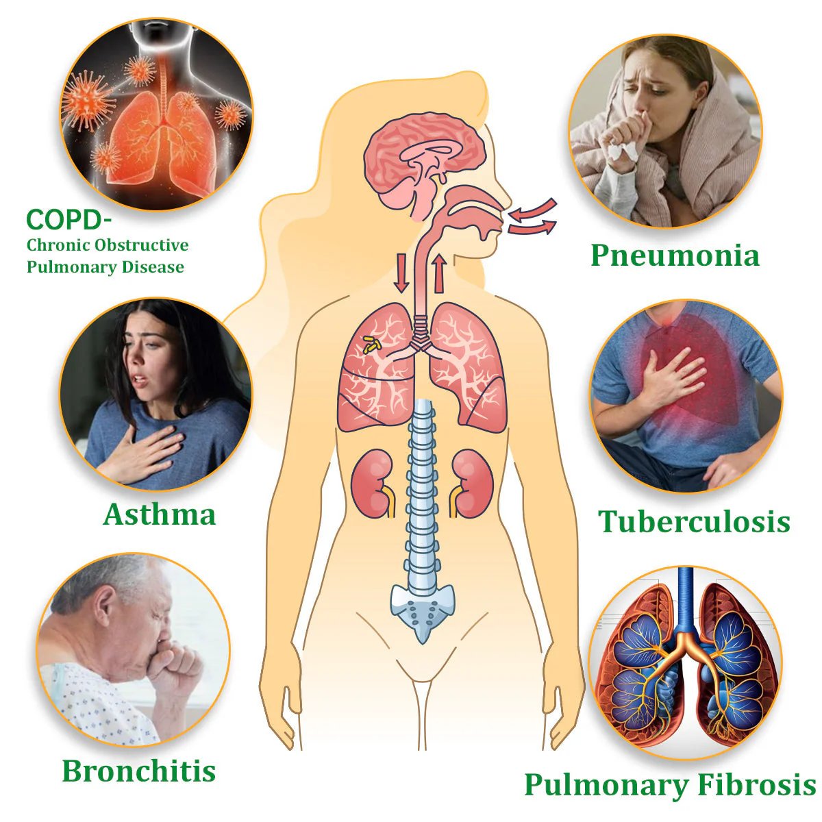 Natravor™ Herbal Mullein Lung Purifier – Breathe Easy with Natural Mucus Relief & Respiratory Detox