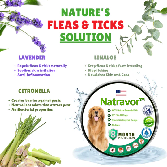 Natravor™- Natural Anti-Flea, Tick, & Mosquito Collar (Safest 8+ Months Protection)