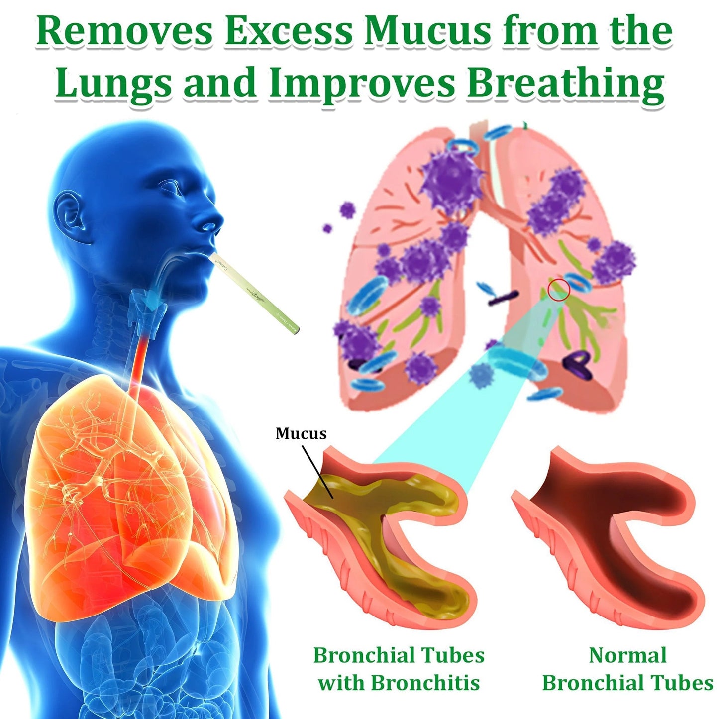 Natravor™ Herbal Mullein Lung Purifier – Breathe Easy with Natural Mucus Relief & Respiratory Detox
