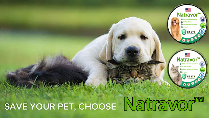 Natravor™- Natural Anti-Flea, Tick, & Mosquito Collar (Safest 8+ Months Protection)