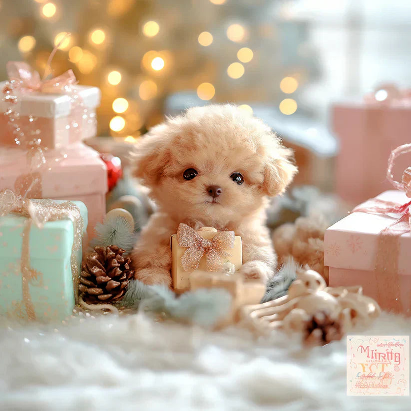 🐶🐶NICOO - My Realistic Robot Puppy