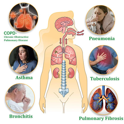 Natravor™ Herbal Mullein Lung Purifier – Breathe Easy with Natural Mucus Relief & Respiratory Detox