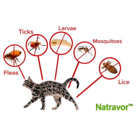 Natravor™- Natural Anti-Flea, Tick, & Mosquito Collar (Safest 8+ Months Protection)