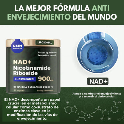 Suplemento de NAD de alta pureza (ribosida de nicotinamida liposomal, resveratrol, quercetina) para combatir el envejecimiento, generar energía y concentrarse