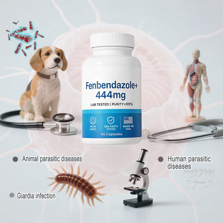 Last Day Promotion✨65% OFF🎁-High-Purity Fenbendazole 444mg Capsules – >99% Purity Certified, 90 capsules|Deworming
